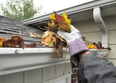 Gutters Cleaning